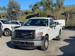 
										2013 Ford F-150 XL full									