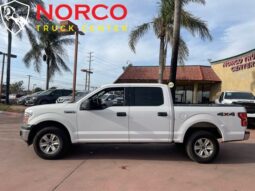 
										2019 Ford F-150 XL full									