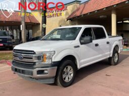 
										2019 Ford F-150 XL full									